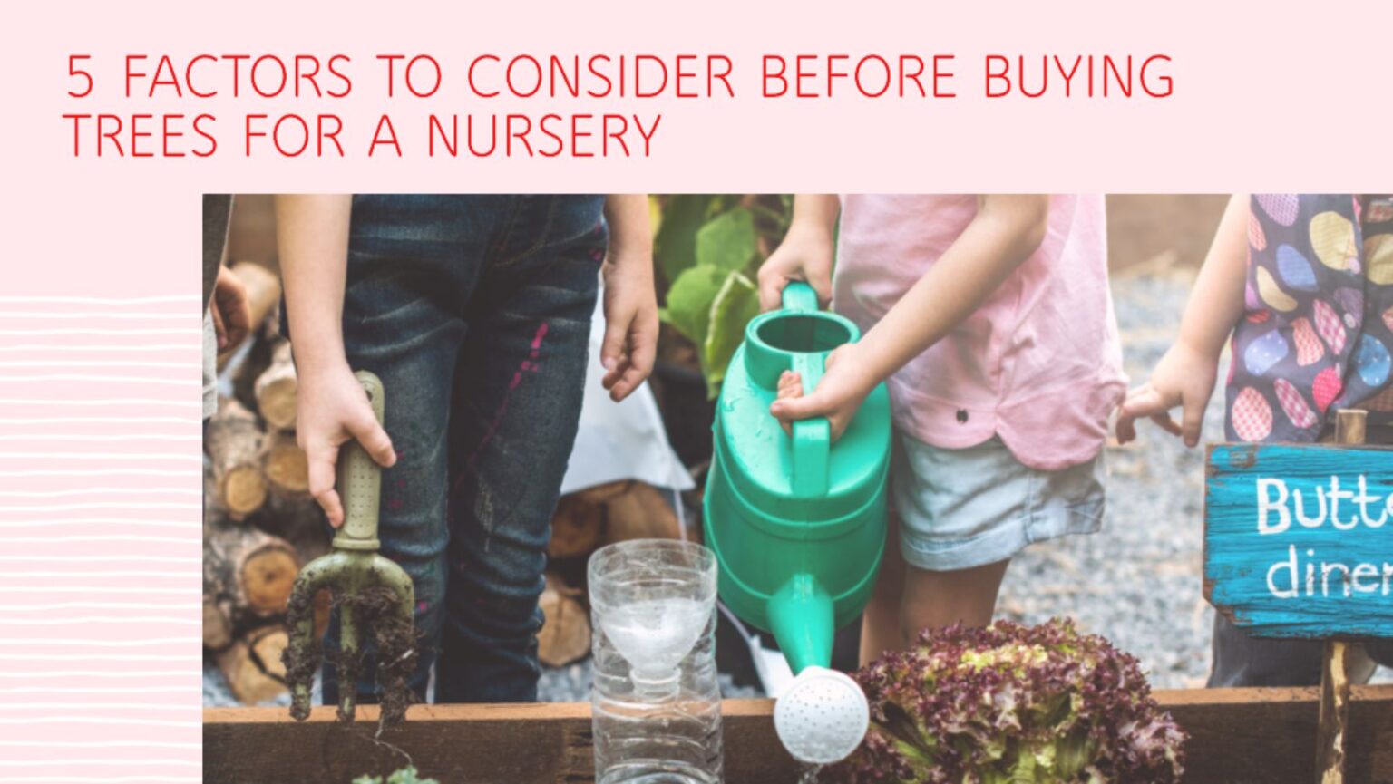 5 Factors to Consider Before Buying Trees for a Nursery JustALittleBite
