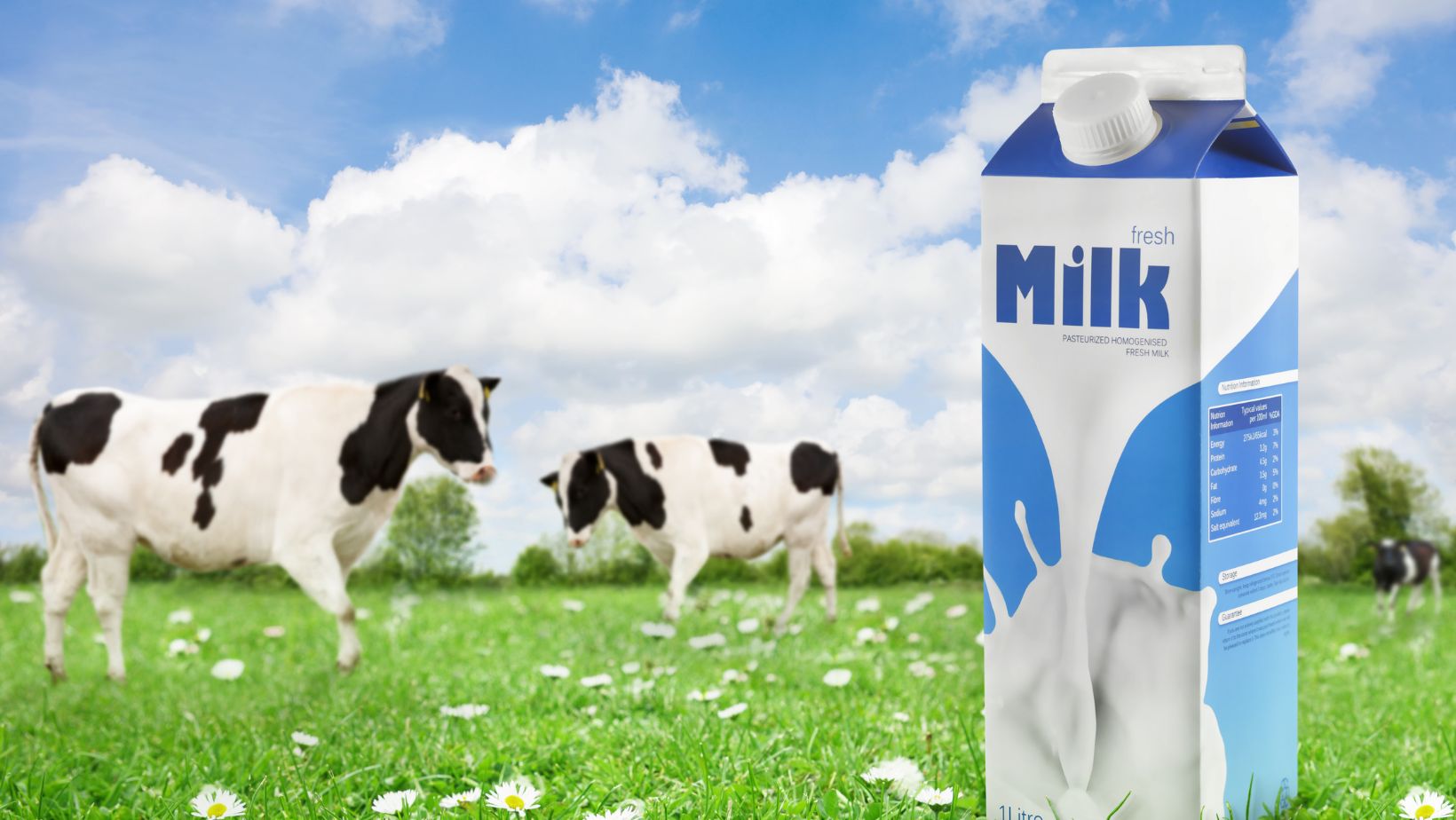 how many ml in a milk carton