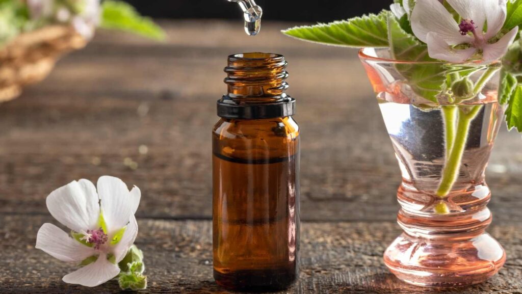 Discover The Perfect Measurement How Many ML In A Tincture Dropper Discover The Perfect Measurement How Many ML In A Tincture Dropper
