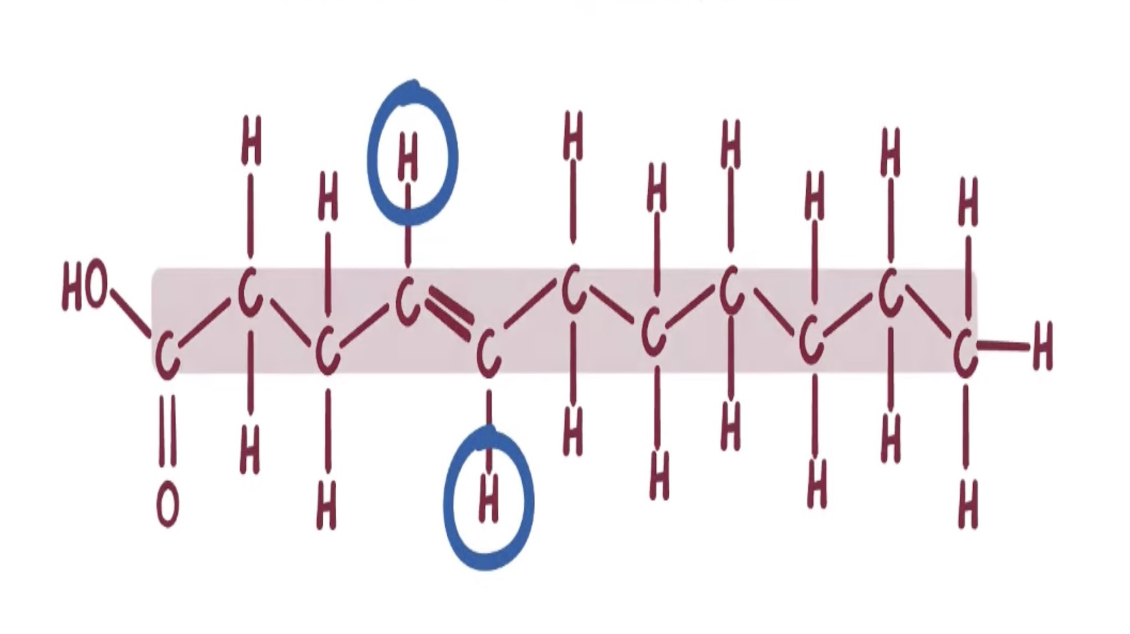 all lipids are ________.